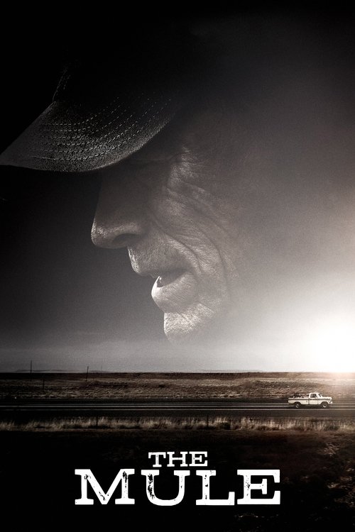 The poster features a shadowy cowboy silhouette against a bright, sunlit horizon, evoking a mysterious and suspenseful mood. The title "The Mule" is prominently displayed at the bottom in bold, white letters.