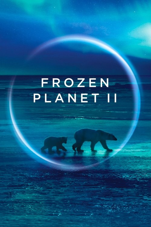 The poster features silhouettes of three polar bears against a serene, icy landscape under a twilight sky. A glowing blue orb frames the title, evoking a sense of wonder and mystery. The cool blue tones and soft lighting create a peaceful yet mysterious atmosphere, hinting at the story's themes o...