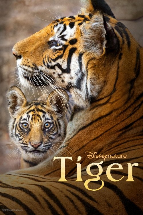 A majestic tiger's fierce gaze dominates the poster, its golden-orange fur contrasting with the deep browns of the background. The Disney Nature logo and title "Tiger" elegantly frame the image, evoking a sense of wild beauty and untamed power.