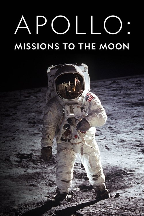 The poster features a lone astronaut in a white suit against the stark black lunar surface, evoking a sense of awe and exploration. The American flag on the astronaut's chest adds a touch of national pride, while the dark background enhances the mysterious and futuristic mood of space exploration.