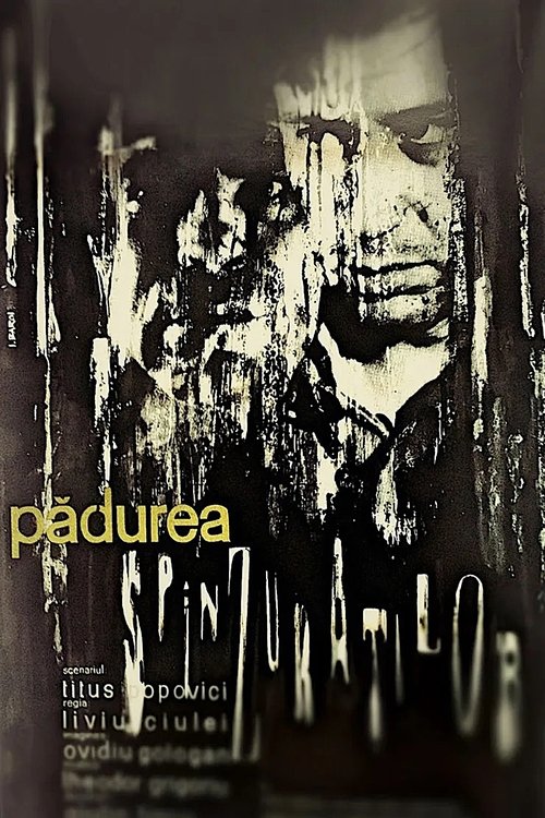 The poster features a hauntingly beautiful, sepia-toned image of a man's face, partially obscured by what appears to be a forest. The title "Paderea" is written in a golden, eerie font, while "Sinturato" is displayed in bold, metallic letters. The overall mood is mysterious and foreboding, evokin...