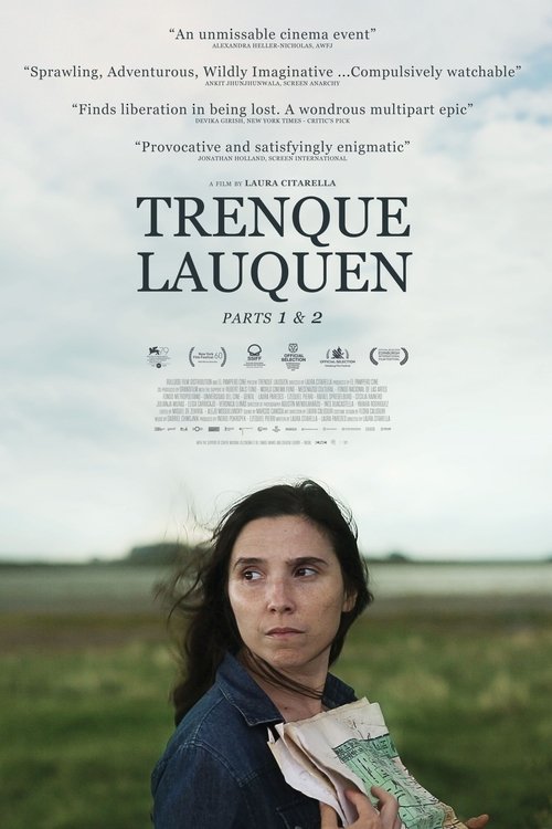 The poster features a woman with dark hair holding a map, set against a serene landscape under an overcast sky. The muted earth tones and soft lighting evoke a sense of introspection and melancholy.