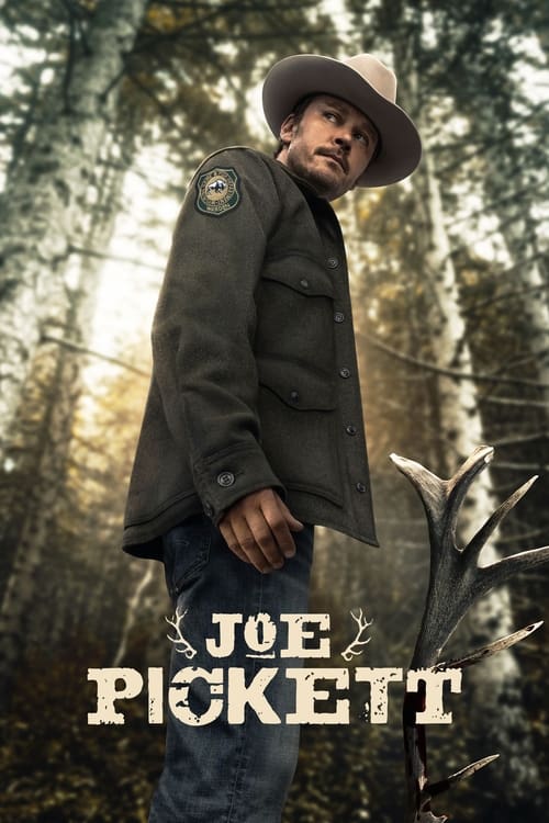 The poster features a rugged man in a cowboy hat and dark coat standing in a sun-dappled forest, exuding a tough, adventurous vibe. The title "Joe Pickett" is prominently displayed in bold, distressed lettering, emphasizing his character as a seasoned cowboy. The warm, golden lighting enhances th...