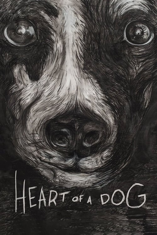 The poster features a close-up of a dog's face, rendered in a sketchy, almost charcoal-like style. The dark, moody atmosphere is enhanced by the stark contrast between the black and white tones. The title "Heart of a Dog" is prominently displayed in bold, white letters at the bottom, emphasizing ...