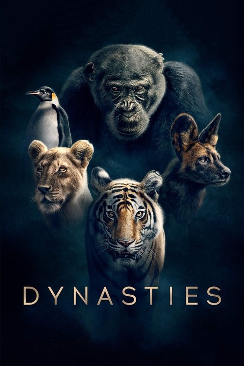The poster features a dramatic, dark background with four animals—lion, tiger, gorilla, and penguin—surrounded by a mysterious, ethereal glow. The title "DYNASTIES" is prominently displayed in bold, golden letters at the bottom, suggesting themes of power, history, and mystery. The overall mood i...