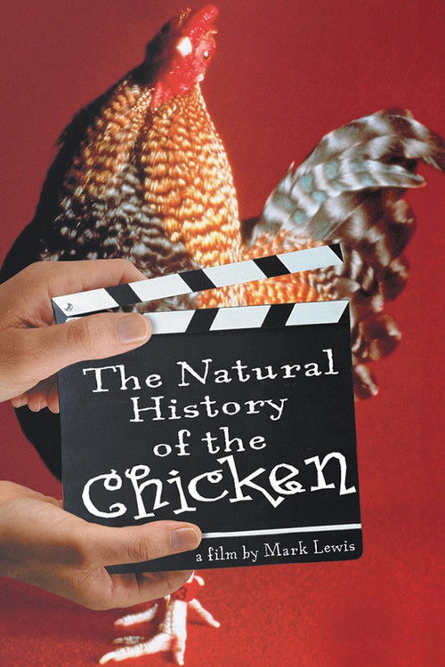 A hand holds a movie clapperboard titled "The Natural History of the Chicken" against a vibrant red background featuring a rooster. The poster exudes a playful, educational tone with its bright colors and whimsical design.