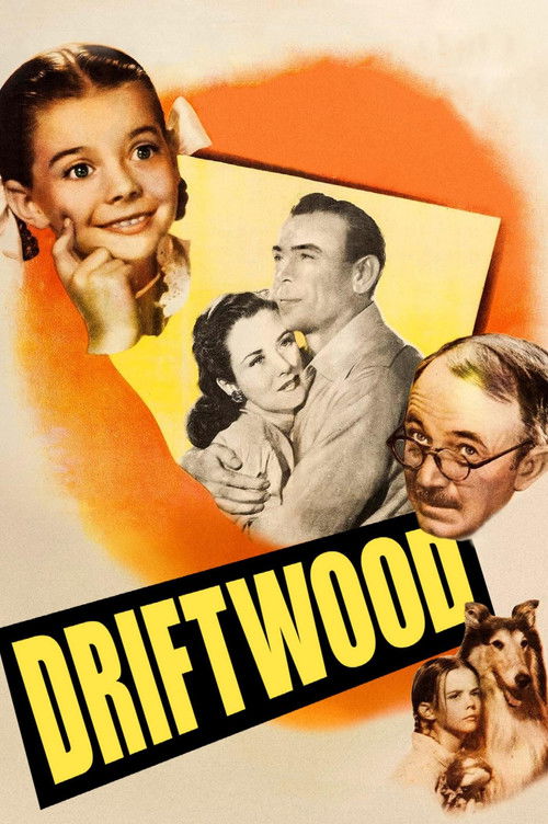 The poster features a young girl with a joyful expression, a man in a suit, and a woman in a dress, all framed within a warm orange and yellow background. The bold, yellow text "DRIFTWOOD" dominates the lower section, evoking a nostalgic, cheerful atmosphere that suggests a classic film with a li...