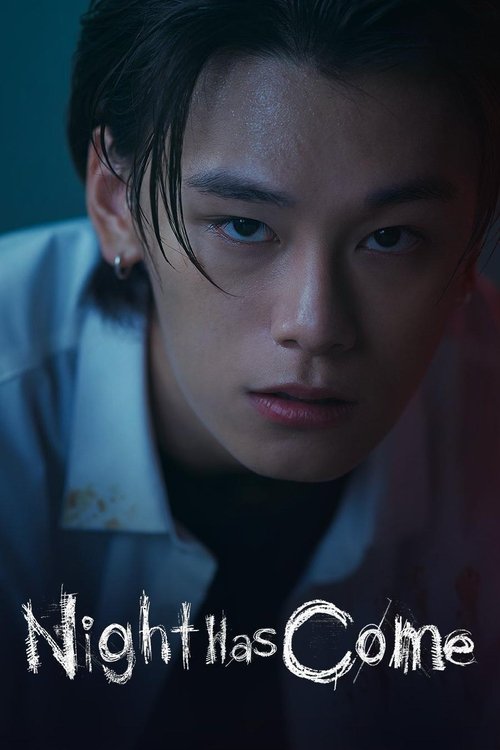 The poster features a young man with dark hair and piercing blue eyes, exuding mystery and intensity. The muted blue and black tones create a somber, atmospheric mood, while the title "Night Has Come" in white text adds a dramatic touch.