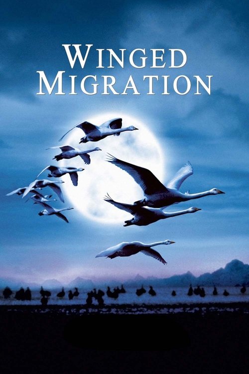 The poster features silhouettes of people flying in a flock against a backdrop of a bright full moon and a dark, starry sky. The colors are cool-toned, with blues and purples creating a mysterious and serene atmosphere. The mood is one of peaceful migration, capturing the essence of nature's gran...