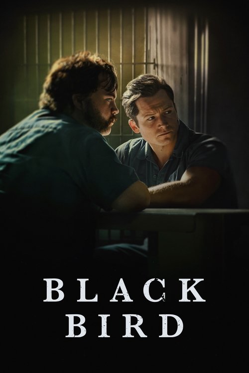 The poster features two men in dimly lit, moody tones with a somber atmosphere. One man leans in closely, while the other looks on with a serious expression. The title "BLACK BIRD" is prominently displayed in bold white letters at the bottom.