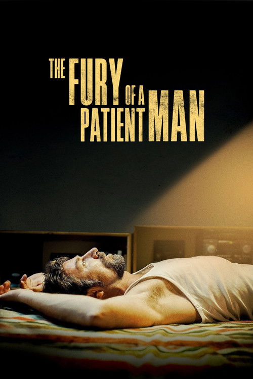The Fury of a Patient Man poster