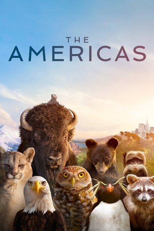 This poster features a diverse group of wildlife—bison, eagle, owl, raccoon, and other animals—standing against a warm sunset backdrop. The muted earth tones and soft lighting evoke a sense of natural beauty and tranquility, suggesting an exploration of the world's diverse ecosystems.