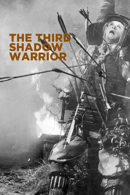 The poster features a dramatic black-and-white image of a warrior with a determined expression, surrounded by flames and debris. The title "The Third Shadow Warrior" is prominently displayed in bold, orange letters. The overall mood is intense and epic, evoking a sense of danger and historical dr...