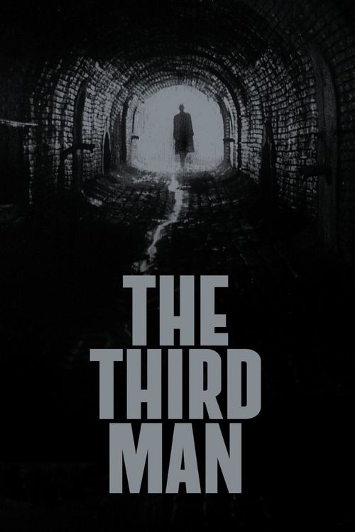 The poster features a solitary figure standing in a dark, tunnel-like corridor, evoking mystery and suspense. The muted tones of black and white create an eerie atmosphere, while the stark white text "THE THIRD MAN" anchors the image with a sense of foreboding.