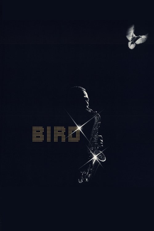 A silhouette of a person stands against a dark background, with a bird flying nearby. The word "BIRD" glows in gold, creating a striking contrast. The mood is mysterious and serene.