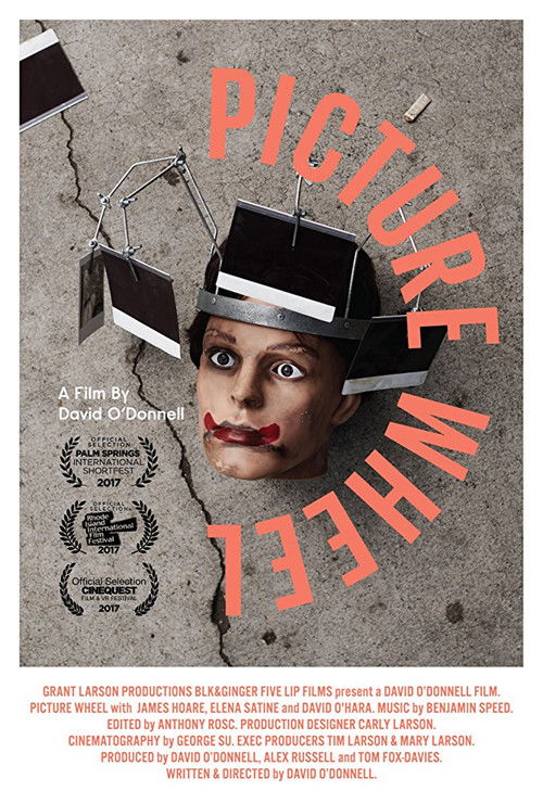 The poster features a surreal, unsettling scene with a person's face emerging from a cracked concrete floor, wearing a top hat and sporting exaggerated makeup. The title "PICTURE WHEEL" is prominently displayed in bold, red, distressed lettering against a dark, gritty background. The overall mood...