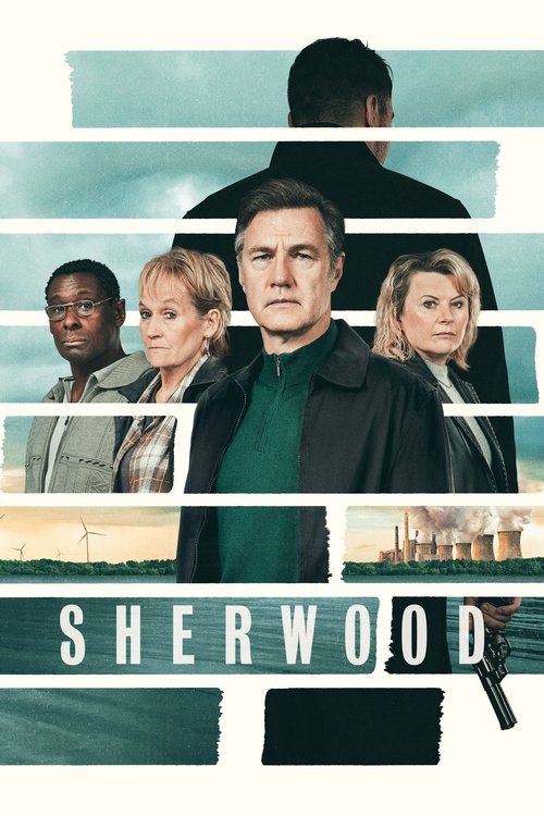 The poster features a group of characters against a teal background, with a man in the foreground wearing a green sweater. The mood is mysterious and suspenseful, hinting at a crime drama.