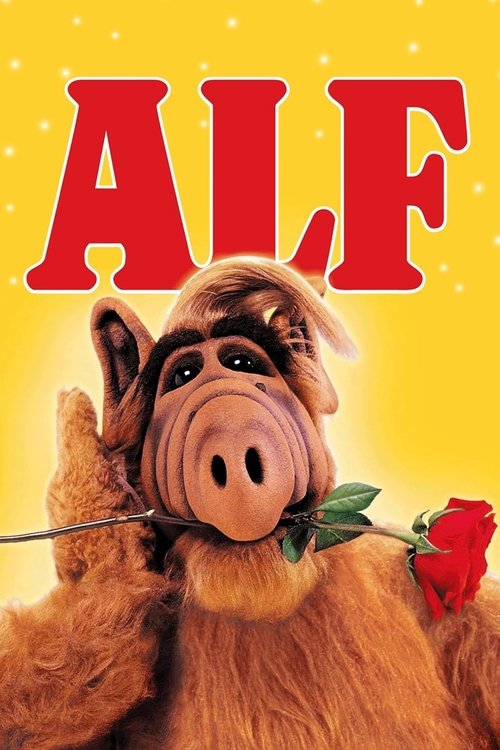 The poster features a cheerful animated pig with a red rose in its mouth, set against a bright yellow background. The bold red letters "ALF" dominate the top, conveying a playful and inviting mood.