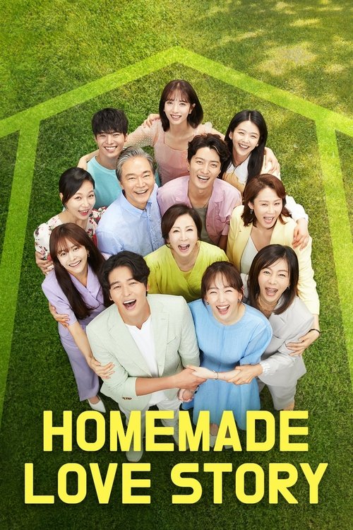 The poster features a joyful group of people gathered on a green baseball field, radiating happiness and warmth. The vibrant yellow text at the bottom reads "HOMEMADE LOVE STORY," emphasizing the show's theme of heartwarming family moments.