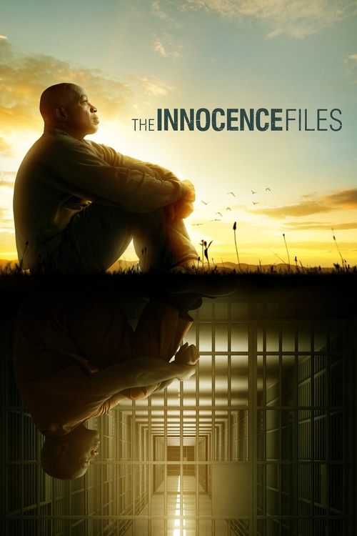 The poster depicts a somber scene with a man sitting on a fence, his reflection mirrored below in a prison cell. The warm sunset hues create a melancholic atmosphere, while the stark, monochromatic prison setting adds a sense of isolation and gravity.