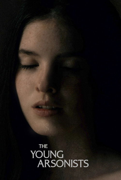 The Young Arsonists poster