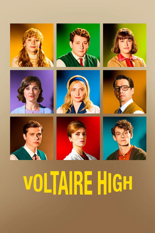 The poster features a grid of nine young people with vibrant, colorful backgrounds, suggesting a lively and colorful school setting. The title "Voltaire High" is prominently displayed in bold yellow letters at the bottom, emphasizing the show's name. The overall mood is energetic and youthful, ca...