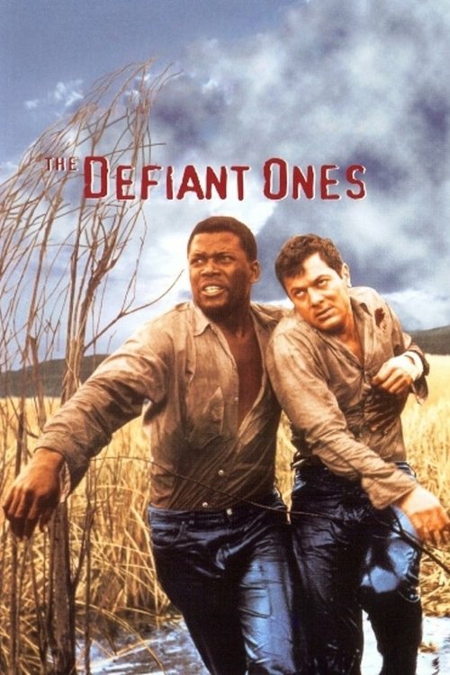 The poster features two men in rugged, weathered clothing against a backdrop of dry grass and a cloudy sky, evoking a gritty, survivalist atmosphere.