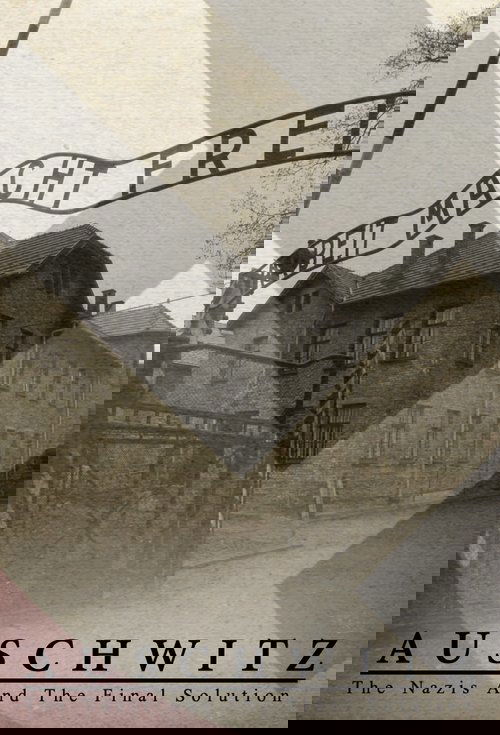 The poster features a sepia-toned image of a grim, dilapidated building with a prominent "FLECHT FREI" sign. Overlaid on the image are faint, ghostly figures of people, suggesting a haunting atmosphere. The muted colors evoke a somber, historical mood, while the stark text "AUSCHWITZ" and the sub...