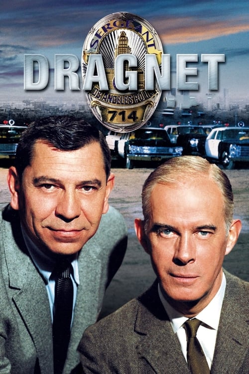The poster features two men in suits against a backdrop of vintage police cars, evoking the noir atmosphere of the 1950s. The muted tones of gray and brown contrast with the warm glow of the sunset, creating a classic detective drama mood.