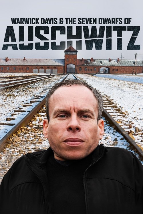 The poster features a somber portrait of a man in a black jacket against a backdrop of snow-covered train tracks leading to a bleak, red-brick building. The muted colors and stark imagery evoke a sense of desolation and historical weight, capturing the film's themes of tragedy and resilience.