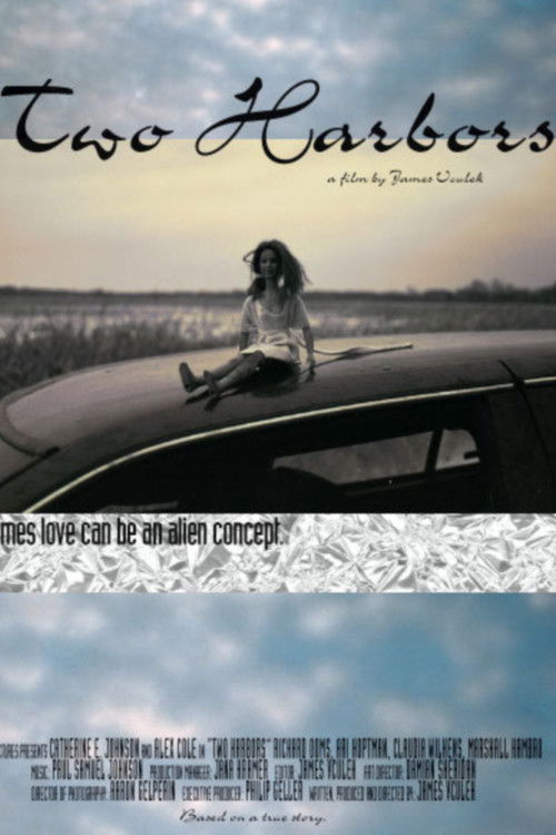 The poster features a lone figure sitting on the roof of a car, evoking a sense of solitude and introspection. The muted tones of the sky and car create a somber yet hopeful atmosphere, suggesting themes of memory and longing. The title "Two Harbors" hints at the emotional complexity of the film,...