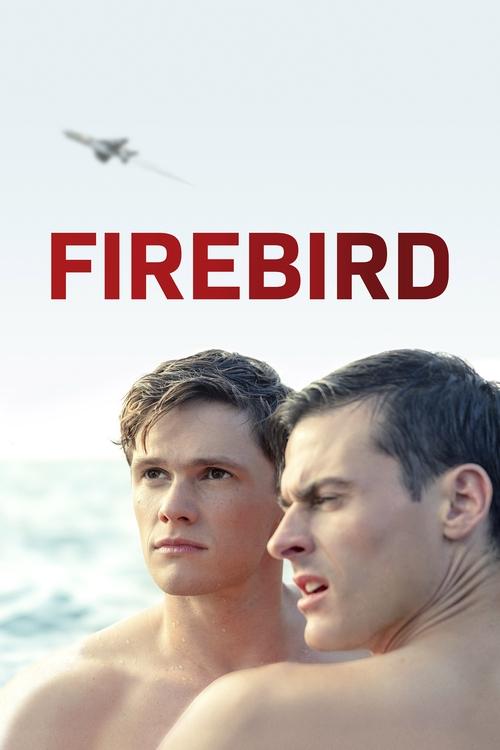 The poster features two shirtless men in a serene ocean setting, with a bird soaring above. The bold red title "FIREBIRD" stands out against the soft, natural tones of the sky and water. The mood is contemplative and adventurous, hinting at a story about survival and connection.