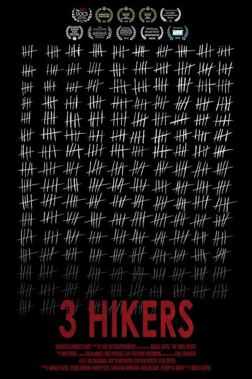 The poster features a grid of hikers in white silhouettes against a black background, evoking a sense of adventure and isolation. The title "3 HIKERS" is prominently displayed in bold red text at the bottom, suggesting a thrilling or mysterious narrative. The overall design conveys a suspenseful ...