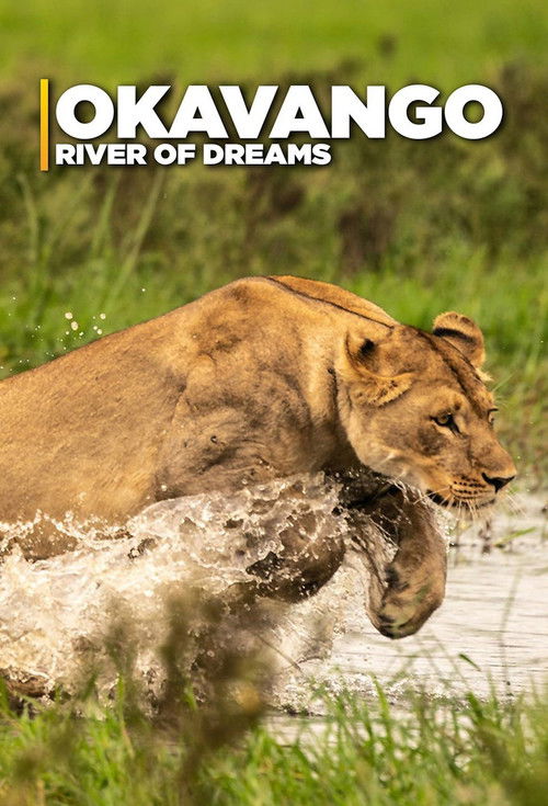 The poster features a majestic lioness in mid-stride, its golden fur contrasting with the vibrant green of the savanna. The bold white text "OKAVANGO RIVER OF DREAMS" sets a dreamlike tone, evoking a sense of untamed wilderness and natural beauty.
