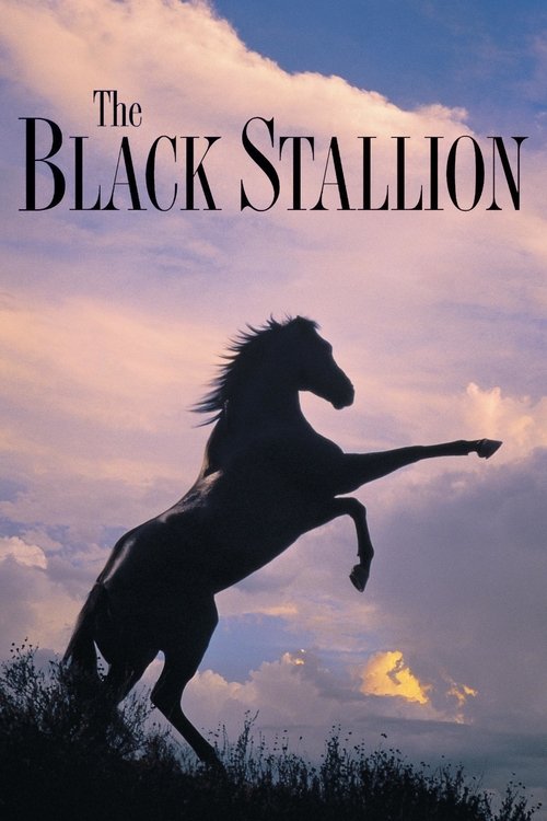 The poster features a silhouetted horse rearing against a dramatic sky with clouds and sunset hues. The title "The Black Stallion" is prominently displayed at the top. The mood is adventurous and evocative of wild nature.