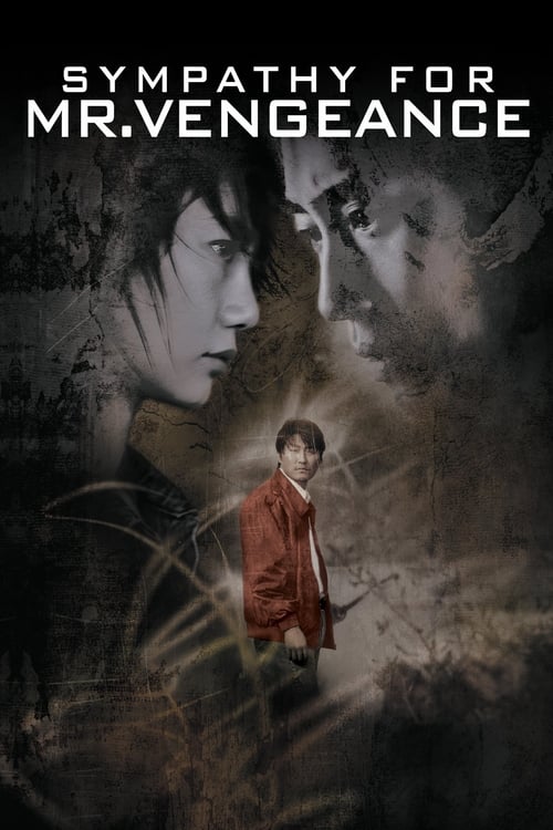 The poster features a young boy in a red coat standing against a dark, eerie background with ghostly faces. The muted colors and shadowy atmosphere convey a sense of mystery and suspense.