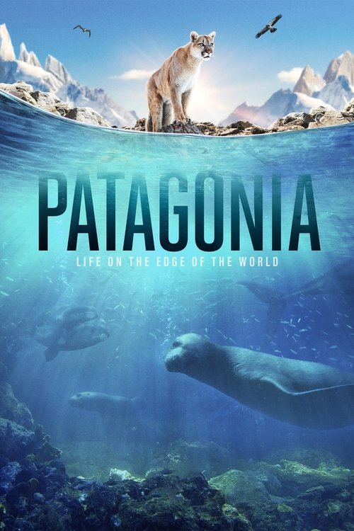 The poster features a majestic polar bear standing on a snowy peak, symbolizing the harsh yet beautiful environment of Patagonia. The underwater scene below shows a serene whale swimming near rocky coral formations, blending the wild and tranquil. The deep blue tones evoke a sense of mystery and ...