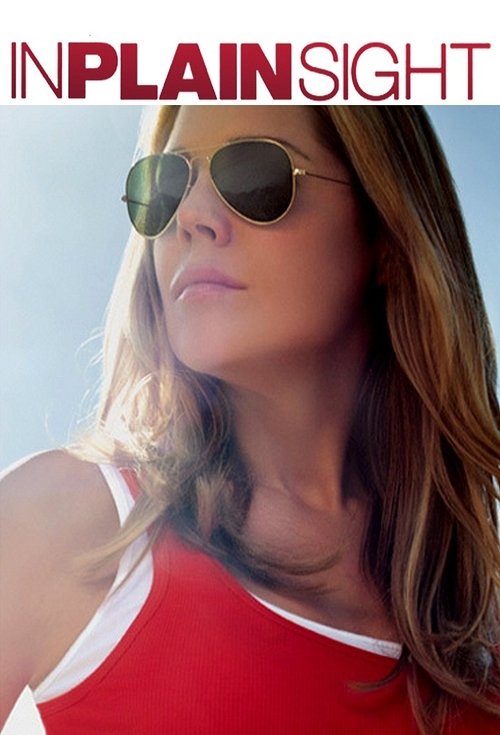 The poster features a woman in sunglasses and a red top against a bright sky, evoking a sense of coolness and mystery. The bold text "IN PLAIN SIGHT" sets a dramatic tone, suggesting a thriller or suspenseful narrative.