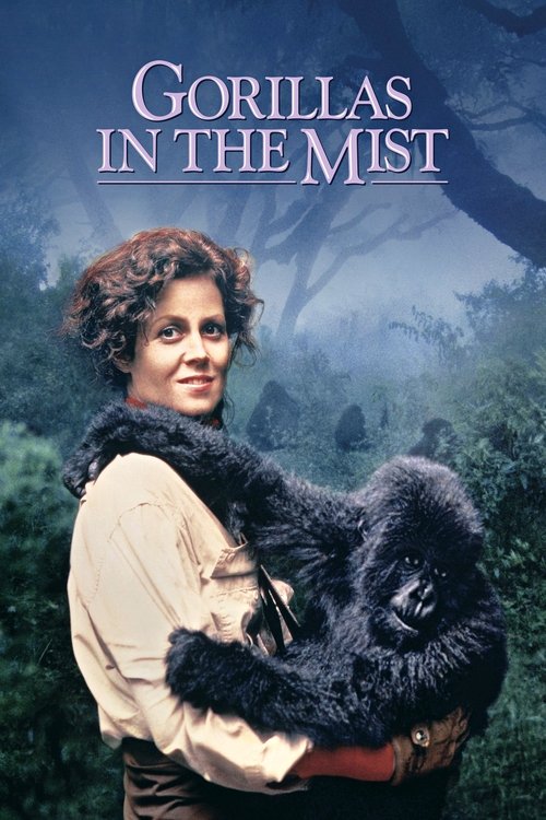 The poster features a woman with curly hair holding a black gorilla, set against a misty, forested background. The muted earth tones and soft lighting evoke a mysterious, serene atmosphere.