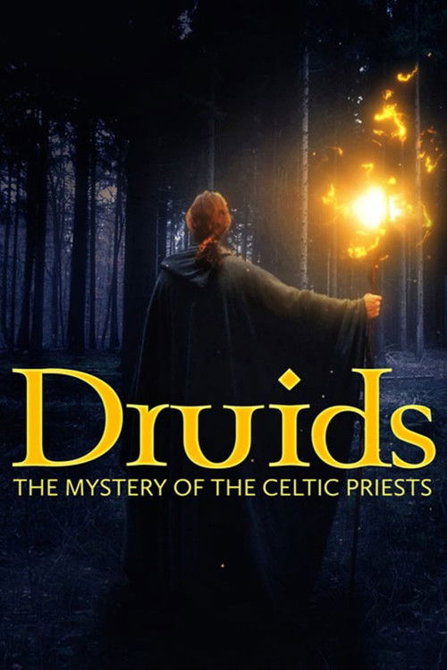 Druids: The Mystery of Celtic Priests poster