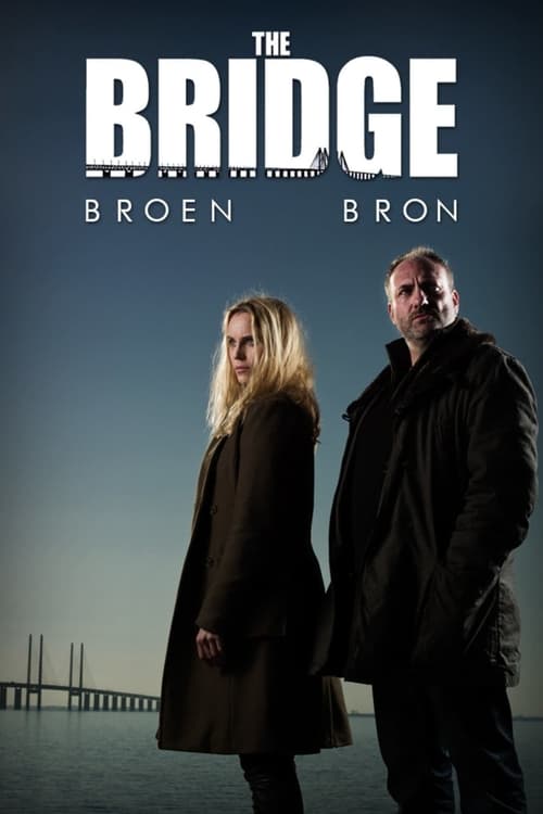 The poster features two characters standing against a moody, twilight sky with a distant bridge in the background. The dark tones and shadowy figures evoke a suspenseful and mysterious atmosphere, hinting at the thriller genre of the show.