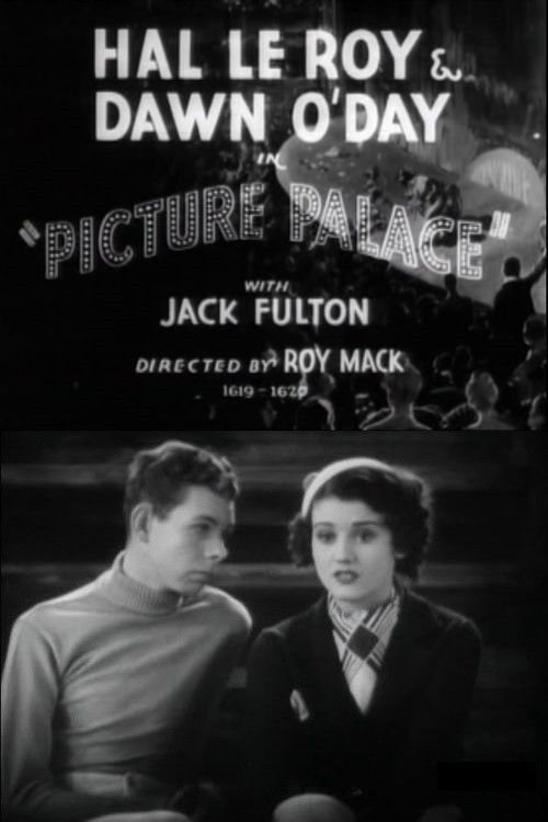 Picture Palace poster