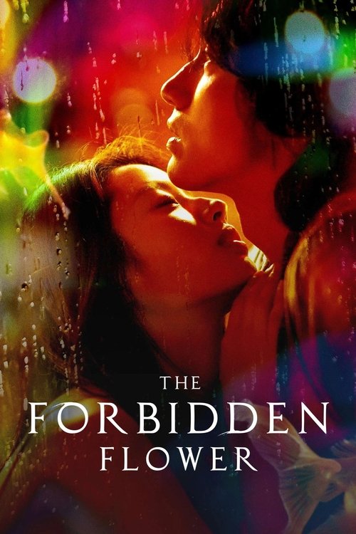 The poster features a romantic couple embracing under a rain-slicked sky, with vibrant, colorful bokeh lights in the background. The warm, intimate lighting and the title "The Forbidden Flower" evoke a sense of mystery and emotional depth.