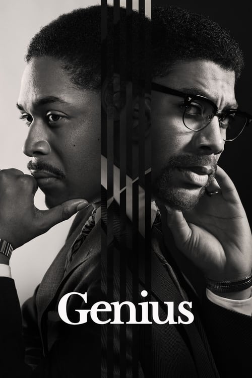 This TV show poster features two men in black and white, exuding mystery and intellect. The monochromatic palette emphasizes their serious expressions and thoughtful poses, creating a dramatic and intellectual atmosphere.