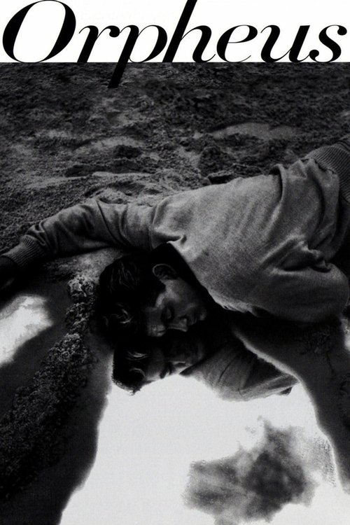 The black-and-white poster features a dramatic, low-angle shot of a man in a hooded cloak, his face partially obscured by shadows, as he gazes downward into a dark, rocky landscape. The stark contrast between the dark figure and the bright, textured background evokes a sense of mystery and melanc...