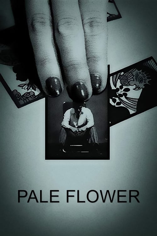 The poster features a close-up of a hand with dark nail polish, holding a small photograph of a woman in a black dress. Surrounding the image are scattered cards with eerie, ghostly figures. The monochromatic color scheme and shadowy figures evoke a spooky, mysterious atmosphere.
