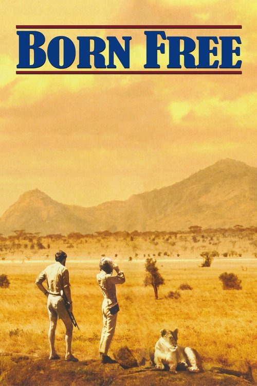 The poster features a warm, golden sunset over a vast, arid landscape with distant mountains. Two figures stand in the foreground, one holding a camera, while another sits nearby, evoking a sense of adventure and freedom. The bold, blue title "BORN FREE" dominates the top, anchoring the image wit...