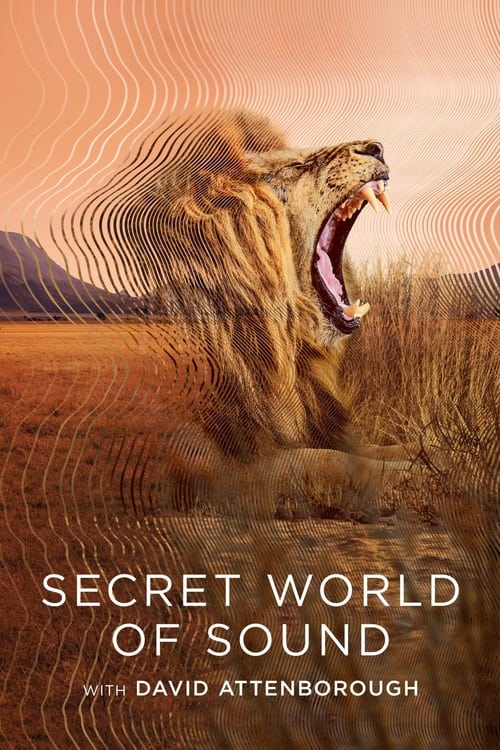 The poster features a roaring lion in a golden desert landscape, with warm orange and brown tones creating a mystical atmosphere. The text "Secret World of Sound" is prominently displayed in white, with the name "David Attenborough" below.