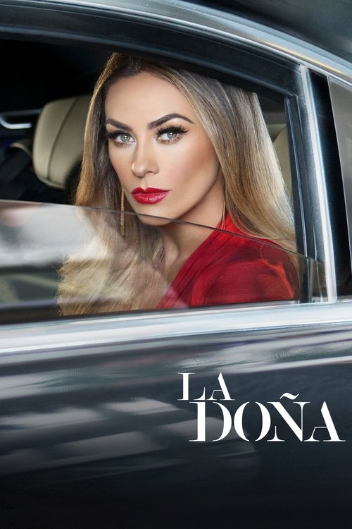 A glamorous woman in a red dress gazes through the car window, exuding confidence and allure. The poster captures a sophisticated mood with rich red tones and elegant typography.
