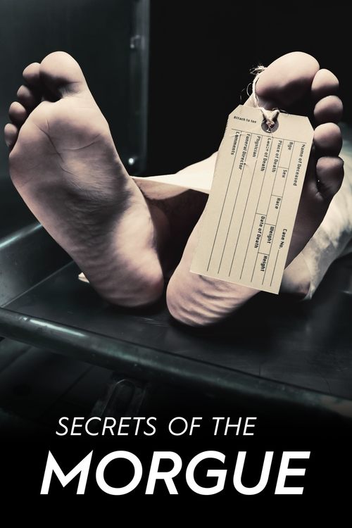 A haunting image of bare feet and a torn piece of paper, evoking a sense of mystery and horror. The dark, shadowy background enhances the eerie mood, while the stark white text "Secrets of the Morgue" stands out against the gloomy scene.